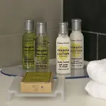 Hotel Hilton Garden Centre 4*